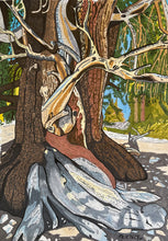 Load image into Gallery viewer, Bristlecone Series Stickers 3 pack

